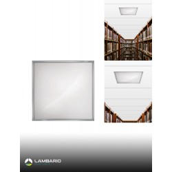 LP15-06600
